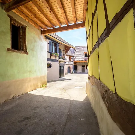 Appartement Au Cœur De L'alsace *