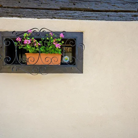 Au Cœur De L'alsace Appartement Beblenheim