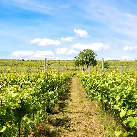 Au Cœur De L'alsace Beblenheim